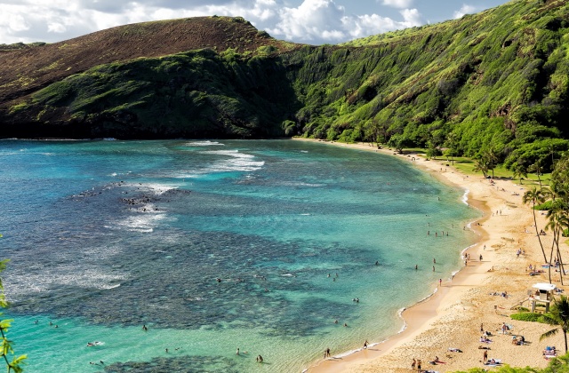 하와이 베테랑 가이드와 함께하는 오아후 섬 일주 맞춤형 단독 투어 (한인 가이드, 8시간)