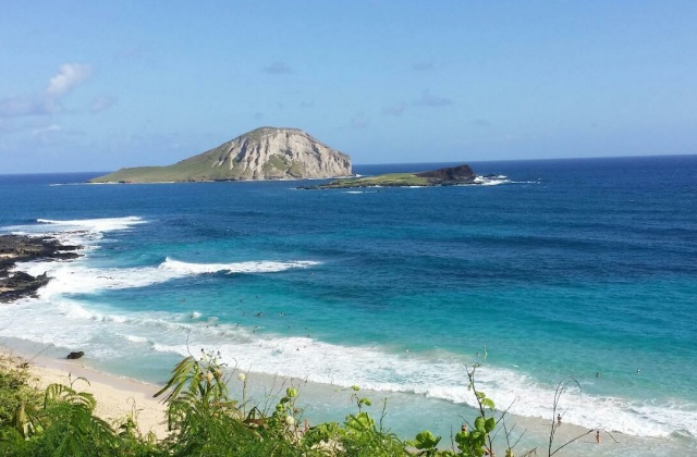 하와이 베테랑 가이드와 함께하는 오아후 섬 일주 맞춤형 단독 투어 (한인 가이드, 8시간)