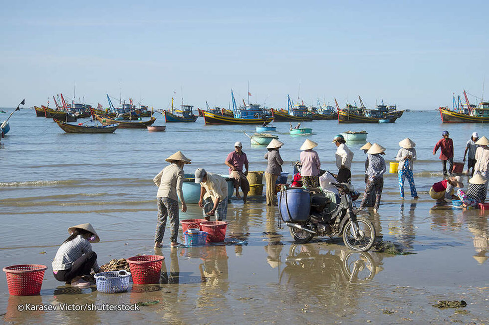 무이네 사막 일출 / 일몰 단독 지프투어 (무이네 출,도착)