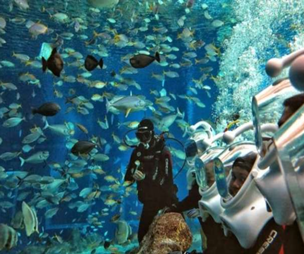 activity_detail_image