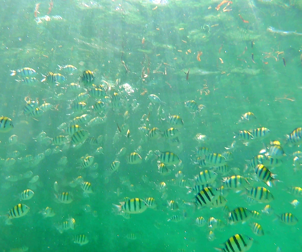 activity_detail_image