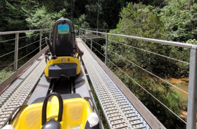 나트랑 출발: 일일 달랏 투어 (한국어 가이드 + 호텔 픽업 드랍 + 간식 제공)