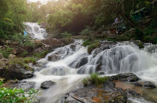나트랑 출발: 일일 달랏 투어 (한국어 가이드 + 호텔 픽업 드랍 + 간식 제공)