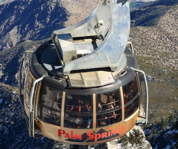 activity_detail_image