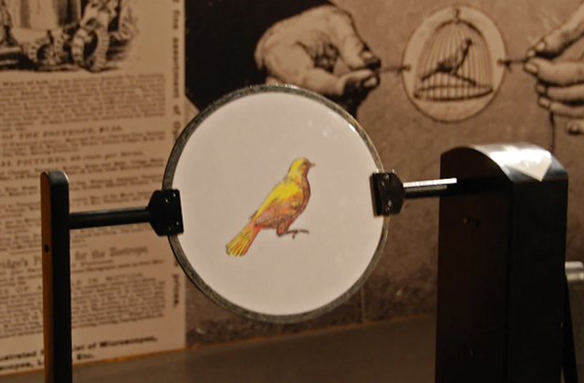 activity_detail_image