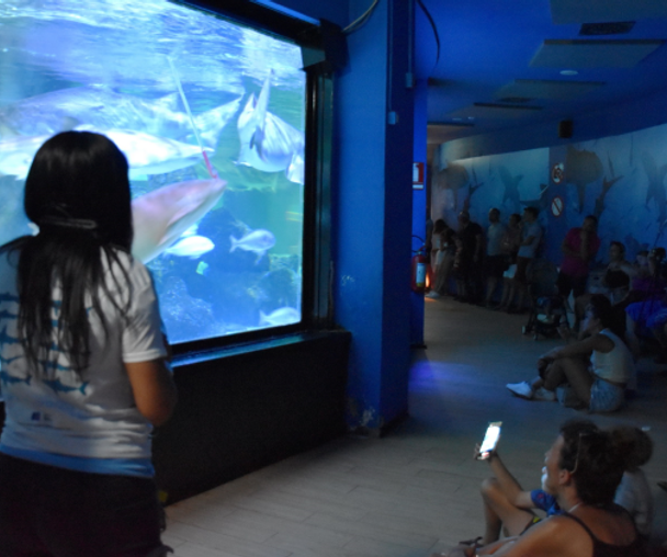 activity_detail_image