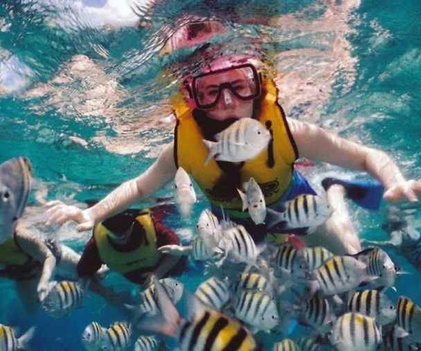 activity_detail_image