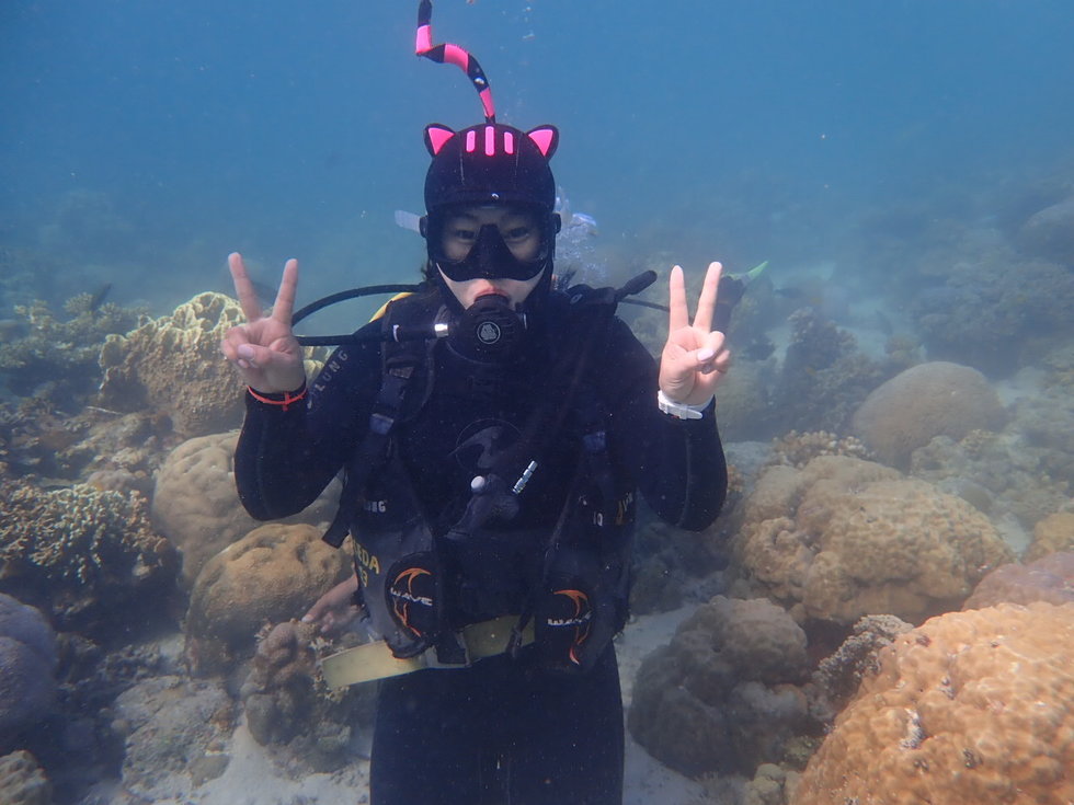 [놀자호핑] 세부 호핑 & 체험 다이빙 투어