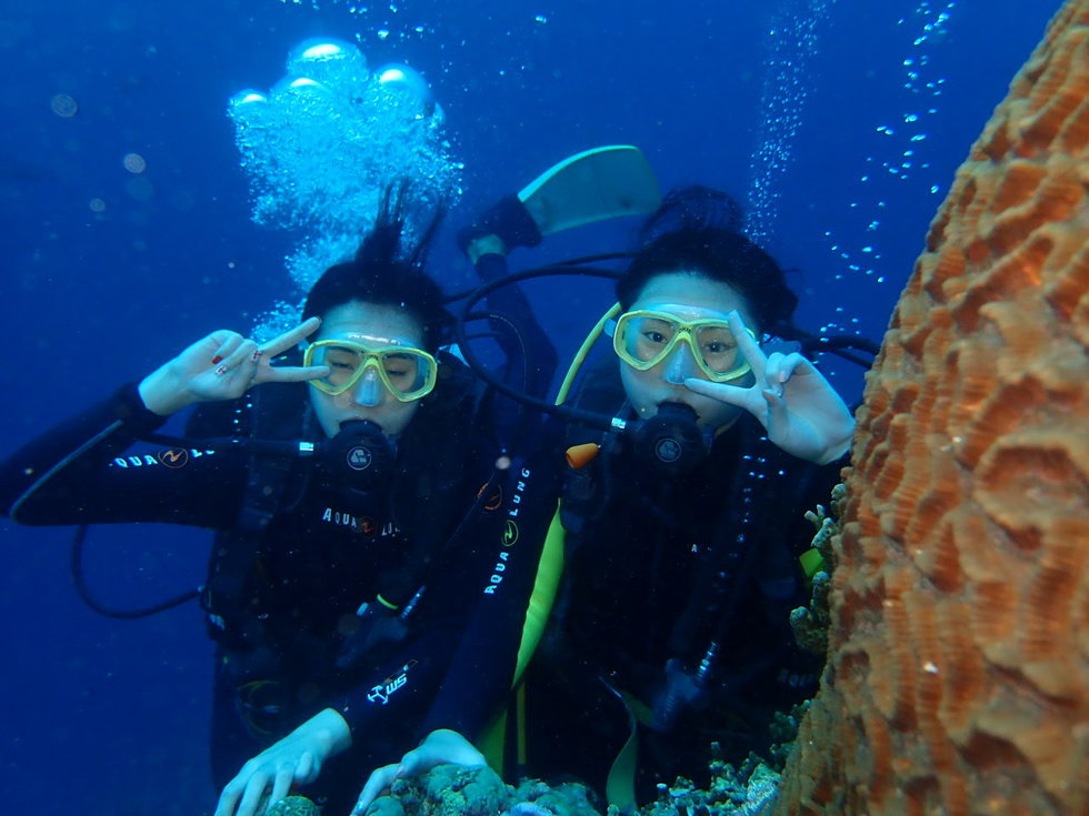 [놀자호핑] 세부 호핑 & 체험 다이빙 투어