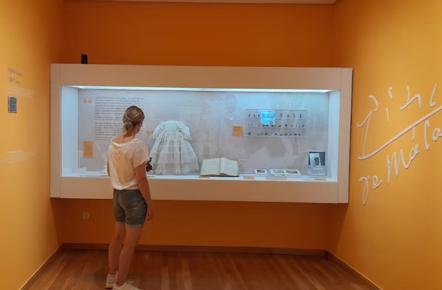 マラガ・ピカソ生家博物館チケット