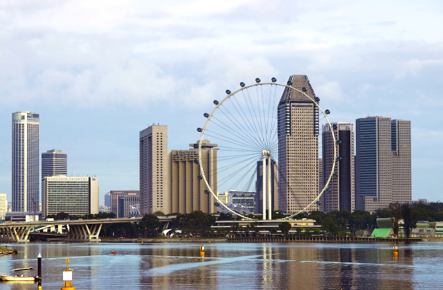 싱가포르 펀비 오픈탑 시티투어 버스