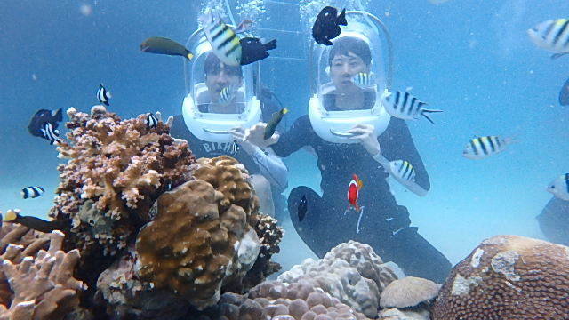 세부 씨워커 할인팩 (씨워커, 헬멧다이빙, 제트스키, 바나나보트)