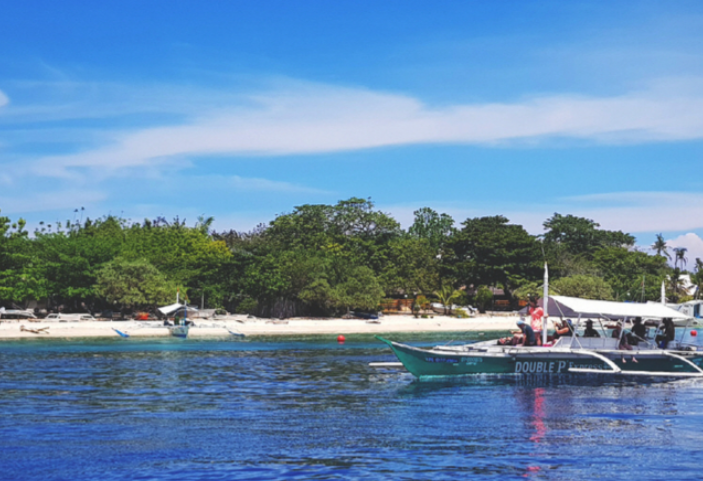 ボホール・1日ツアー(イルカ、ホタル、シュノーケリング、マッサージ)