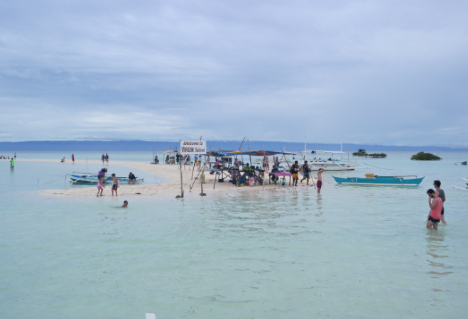 ボホール・1日ツアー(イルカ、ホタル、シュノーケリング、マッサージ)