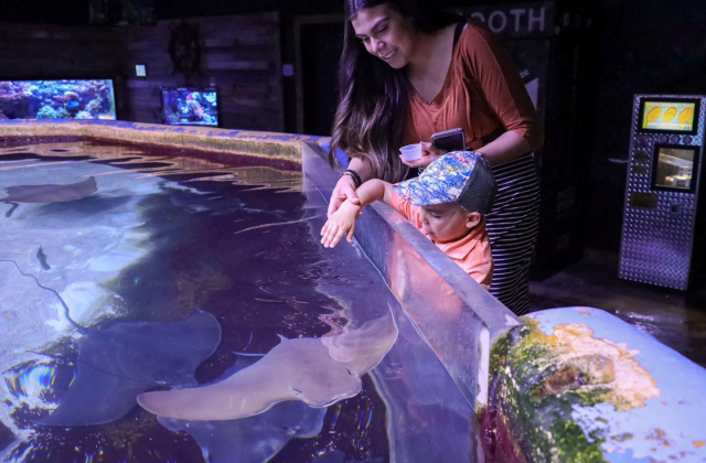 샌안토니오 아쿠아리움 입장권