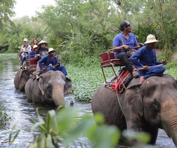 activity_detail_image