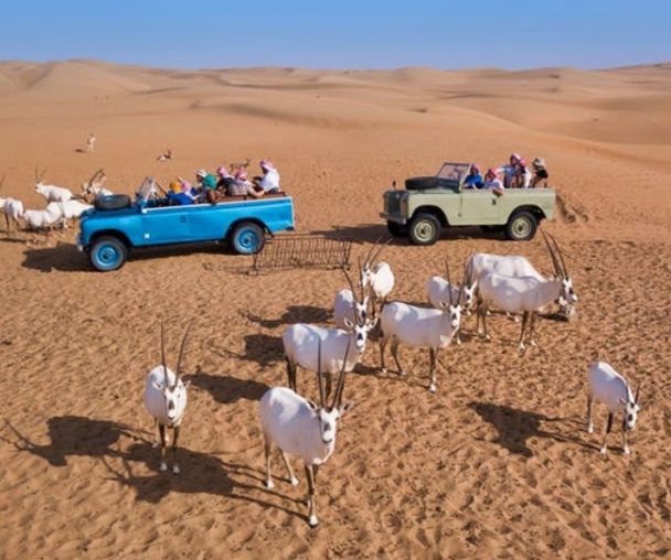 activity_detail_image