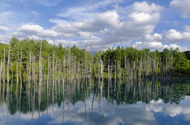 JR Hokkaido Rail Pass 5 days