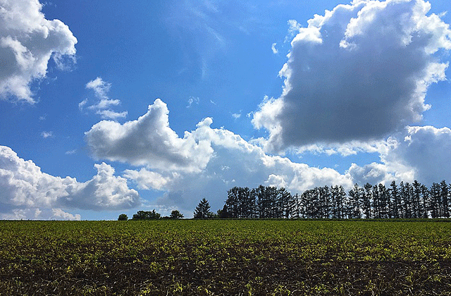 JR Hokkaido Rail Pass 5 days