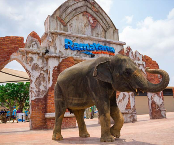 activity_detail_image