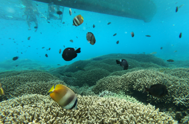 보라카이 미스터 크리스탈 블랙 호핑투어 (크리스탈코브 + 바베큐 뷔페 + 카와 스파 +스노클링 + 헬멧다이빙)