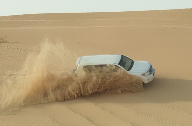 아부다비 사막 사파리 투어 (오전, 오후 선택 가능)