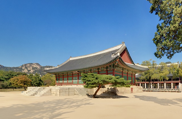 서울 종로 경복궁 투어 (트래블레이블)