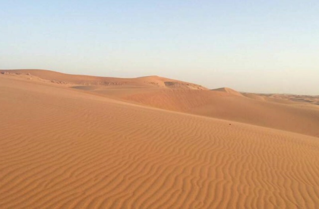 두바이 사막 사파리 투어 + 분수쇼 명당 트라이브스 3코스 식사 티켓