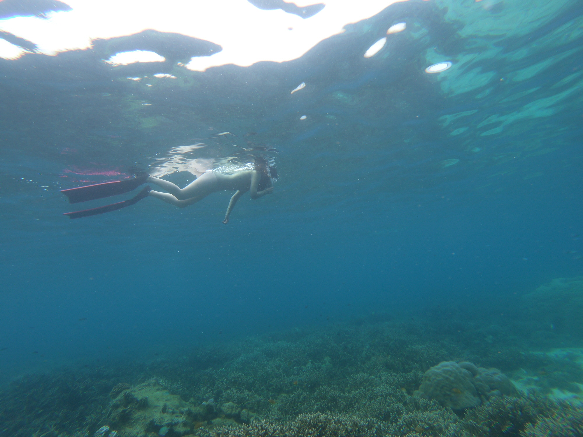 보라카이 미스터 크리스탈 레드 호핑투어 (크리스탈코브 + 바베큐 뷔페 + 카와스파 + 스노클링)