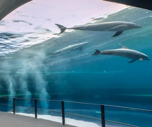 activity_detail_image