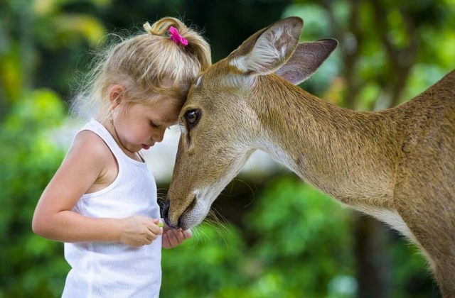 パタヤ・カオキアウオープン動物園＆ケーブビーチクラブプライベートツアー