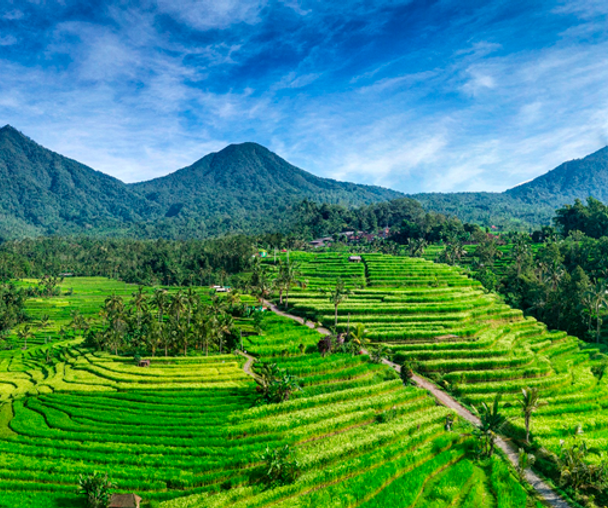 activity_detail_image