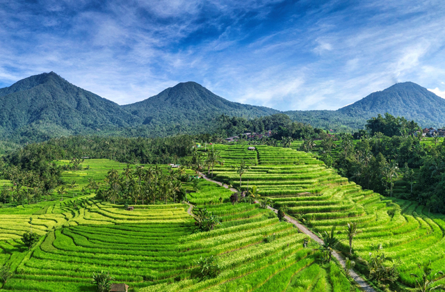 발리 현지 가이드 테구와 함께하는 북부 명소 프라이빗 차량 투어