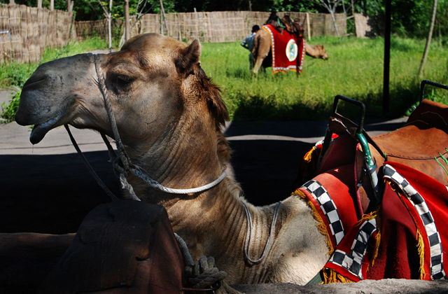 발리 남부 인스타그램 프라이빗 차량 투어