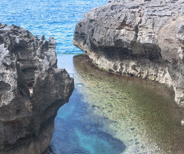 activity_detail_image