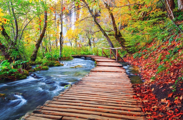 자그레브 출발: 환상의 숲, 라스토케 & 플리트비체 일일 투어