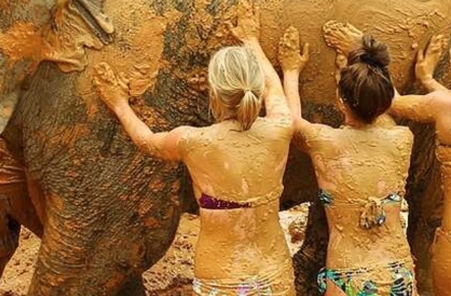 activity_detail_image