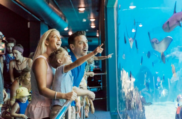 Gold Coast Village Roadshow Theme Parks Super Pass - 5 Day Ticket