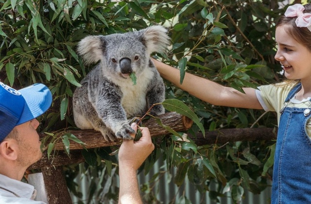 Gold Coast Village Roadshow Theme Parks Super Pass - 5 Day Ticket