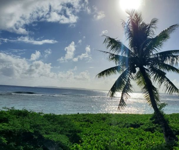 activity_detail_image