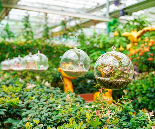 activity_detail_image