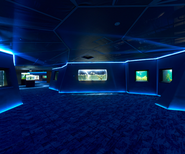 activity_detail_image