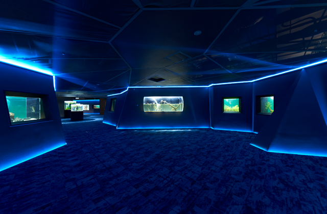 Kanagawa Kawasaki Aquarium