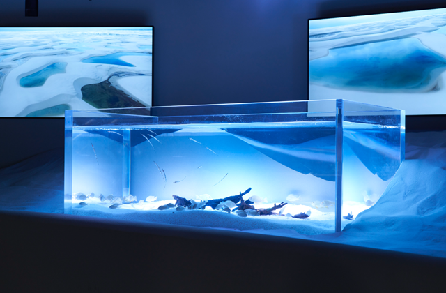 Kanagawa Kawasaki Aquarium