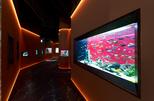 Kanagawa Kawasaki Aquarium