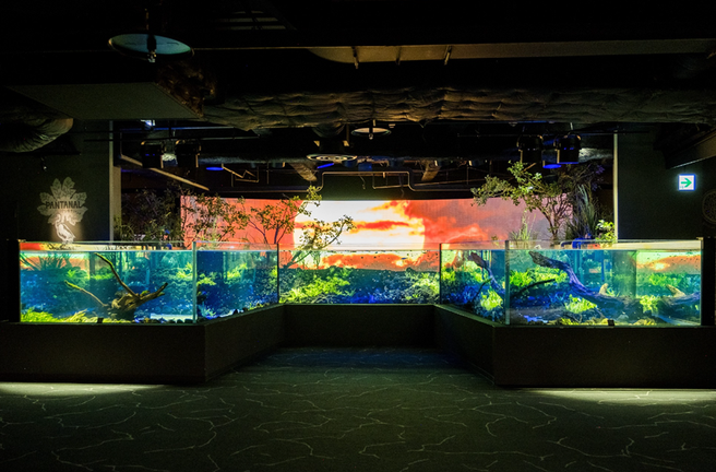 가나가와 가와스이 가와사키 수족관 입장권