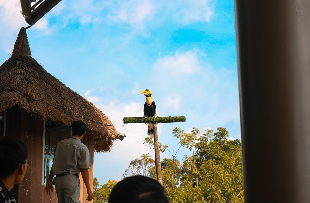 푸꾸옥 단독 차량 렌트 투어 (기사님 포함)
