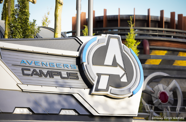 Disneyland Paris Theme Park Ticket