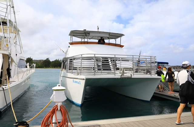 괌 돌핀크루즈 (돌고래 투어, 에메랄드 밸리, 괌 슈퍼패스 카드 제공)