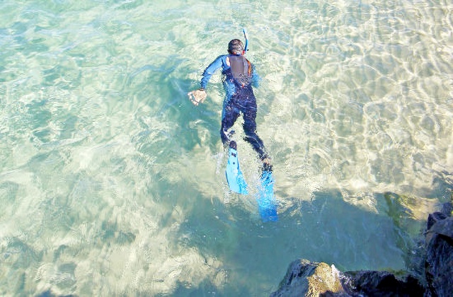 Gold Coast Wave Break Island Snorkeling Tour